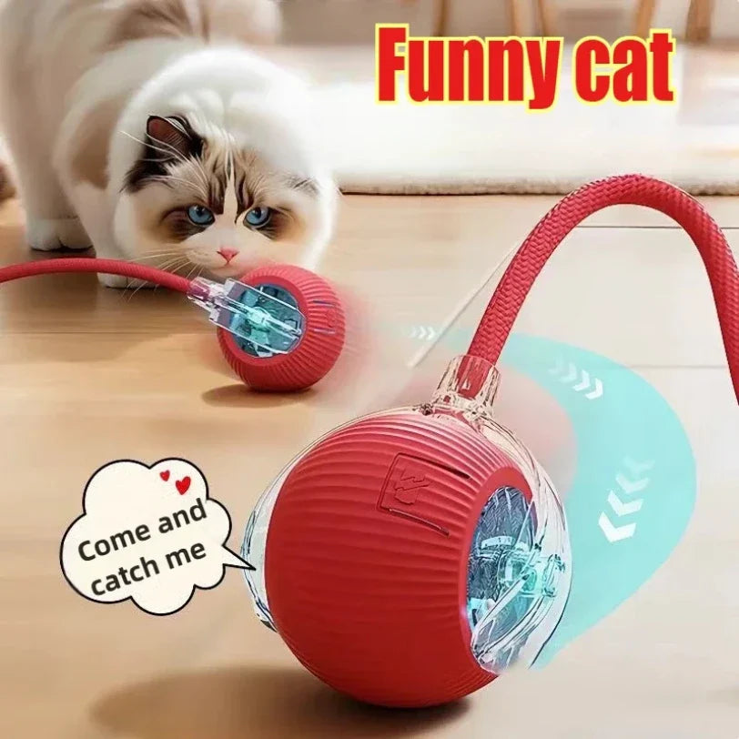 🎁 Pelota interactiva para Gatos (100% off)