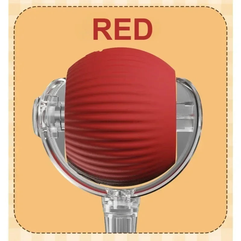 🎁 Pelota interactiva para Gatos (100% off)