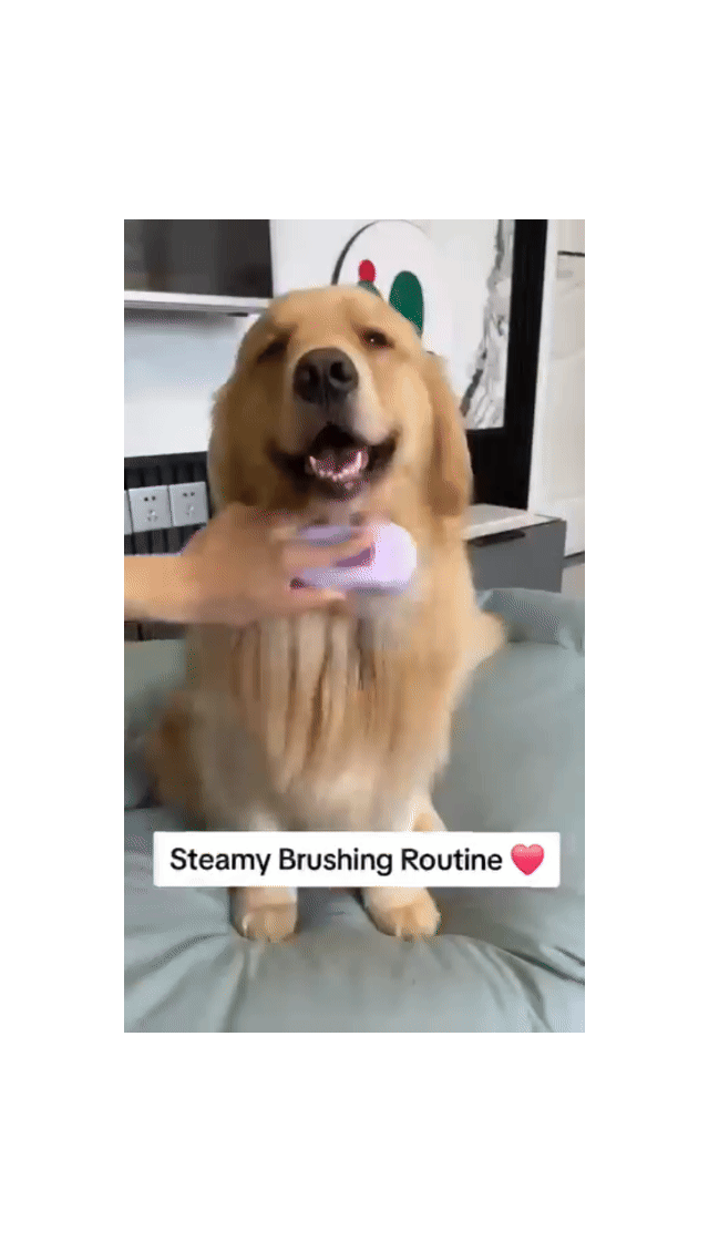 Cepillo 3 en 1 con vapor para perros y gatos